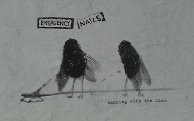 emergency_flies