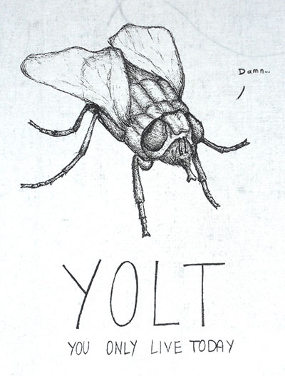 yolt