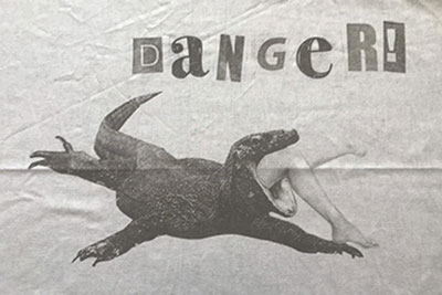 danger_flo