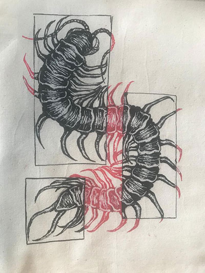 centipede