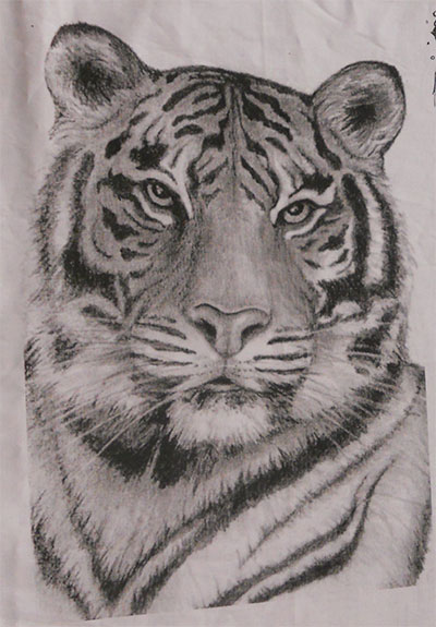 tiger